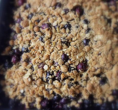 Double Crusted Blueberry Oat Crumble