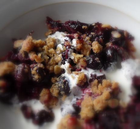 Double Crusted Blueberry Oat Crumble