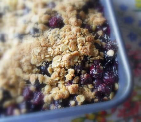 Double Crusted Blueberry Oat Crumble