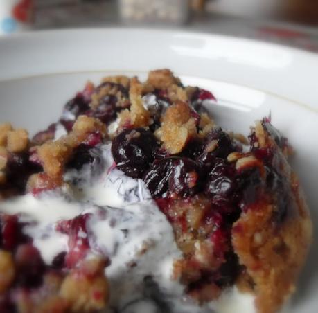 Double Crusted Blueberry Oat Crumble