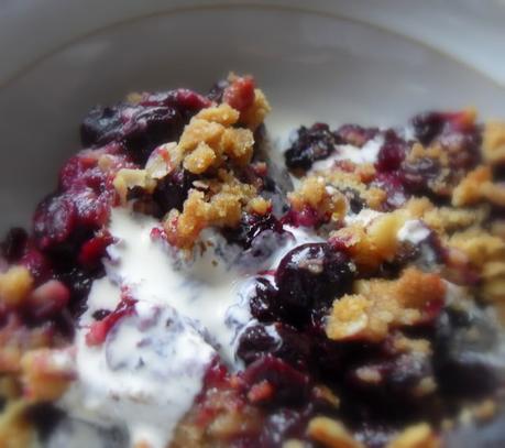 Double Crusted Blueberry Oat Crumble