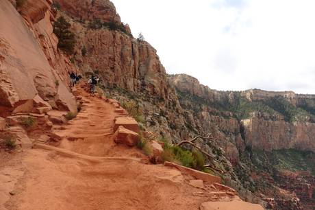 Day 47: Grand Canyon: S Kaibab Tr to S Rim