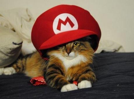 Top 10 Cats in Super Mario Costumes