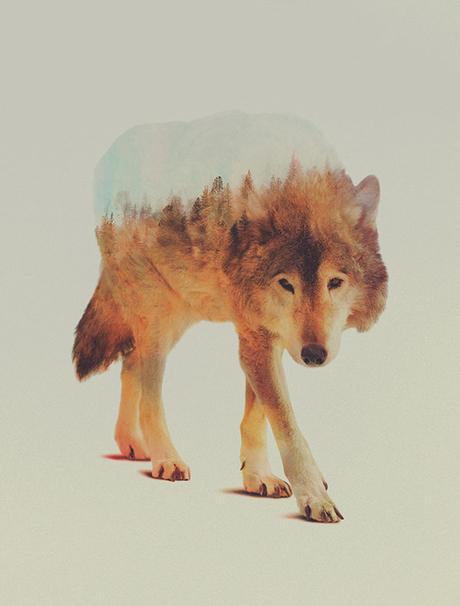 Andreas Lie - Habitats within Animals - double exposure photography