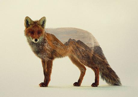 Andreas Lie - Habitats within Animals - double exposure photography