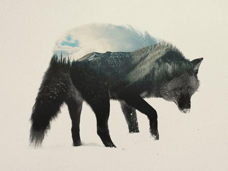 Andreas Lie - Habitats within Animals - double exposure photography