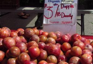 Dapple Dandy Pluots