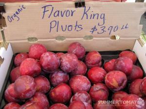 Flavor King Pluots