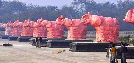 Hay and tarpaulin hid the house for 5 years ~ the tarpaulin warranty in Marine Cargo