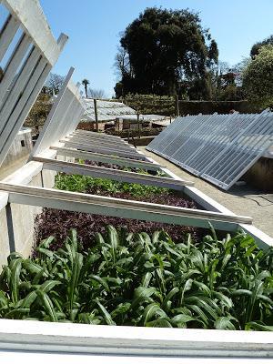 Impressive Cold Frames Impressive Cold Frames