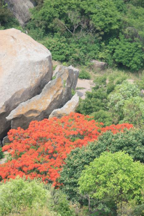 Taken at Ramanagara on May 9, 2015