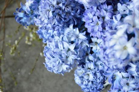 Sweet Scented Hyacinths on a Special Day!