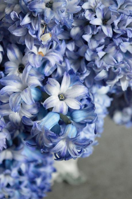 Sweet Scented Hyacinths on a Special Day!