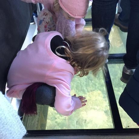 The kids on the glass floor in the skyway. It is opaque and then becomes clear.