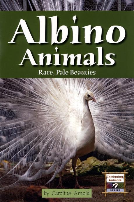 ALBINO ANIMALS: RARE, PALE BEAUTIES, New Book for Fourth Grade Reading Program