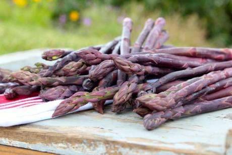 purple asparagus