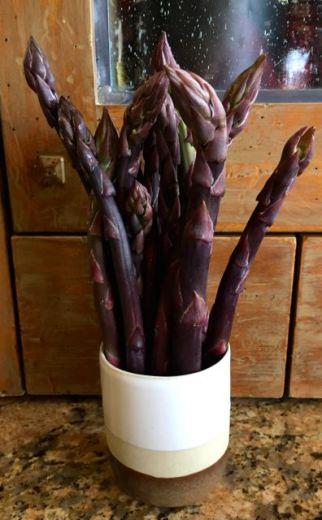 purple spears