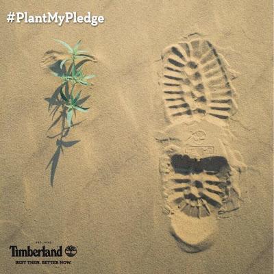 Pledge With Timberland To Aid Horqin Desert Reforestation Project