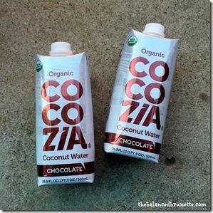 Cocozia Chocolate Coconut Water Review