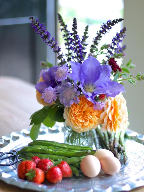 Clematis-and-Roses