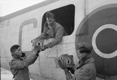 The Royal Air Force Pigeon Service