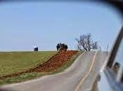 Gender Breakdown Supreme Court Responses Marriage Equality: Exercise Historical Fantasy