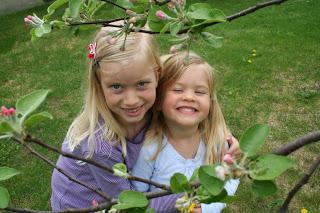 Taking Time to Garden, Teach and Enjoy Life