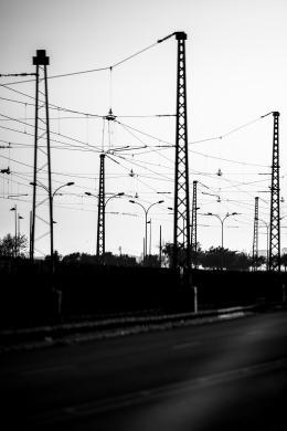 Sticks on the move DSC_9864