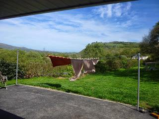 Keeping Fit with the Wind