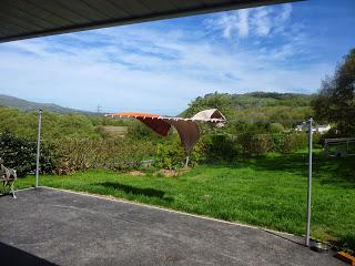 Keeping Fit with the Wind