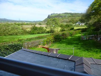 Keeping Fit with the Wind