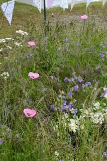 The RHS Malvern Spring Festival 2015 - Show Gardens (Part One)