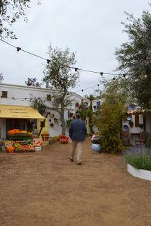 The RHS Malvern Spring Festival 2015 - Show Gardens (Part One)