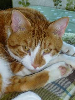 Sharing With Your Pals ... or Keeping it All To Yourself