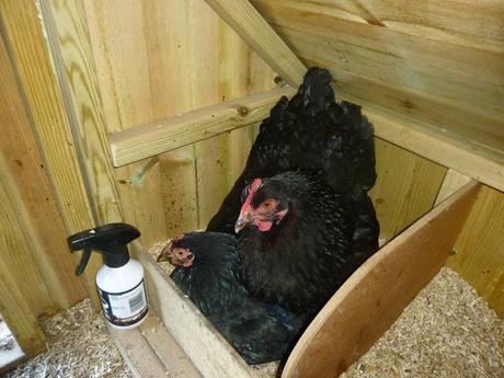 Sharing With Your Pals ... or Keeping it All To Yourself