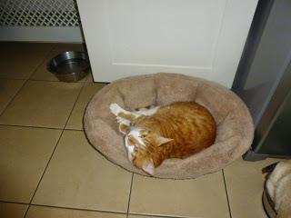 Sharing With Your Pals ... or Keeping it All To Yourself