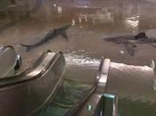 Wednesday Puzzle: They There?