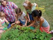 Garden Activities Children This Summer