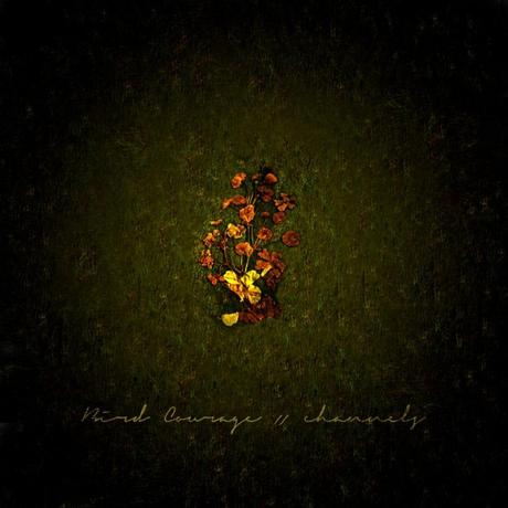 bird-courage-channels