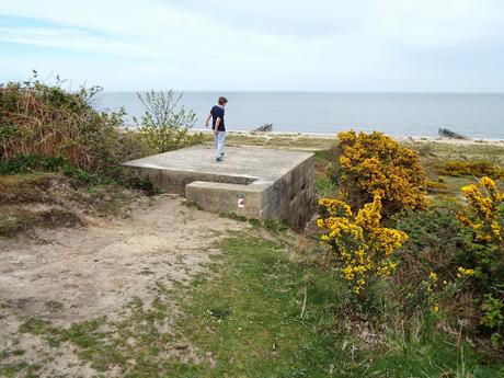 World War II Pillboxes and Rabbit Holes