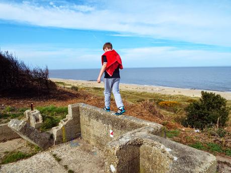 World War II Pillboxes and Rabbit Holes