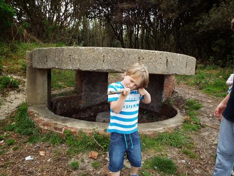 World War II Pillboxes and Rabbit Holes