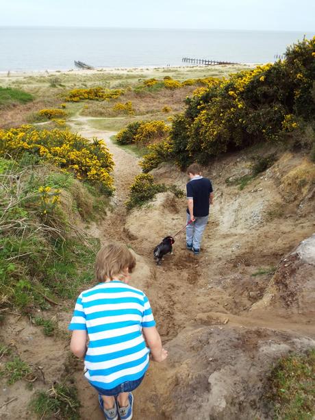 World War II Pillboxes and Rabbit Holes