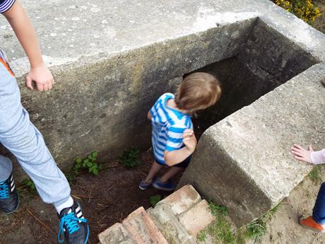 World War II Pillboxes and Rabbit Holes