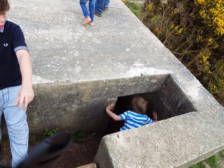 World War II Pillboxes and Rabbit Holes