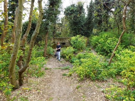 World War II Pillboxes and Rabbit Holes