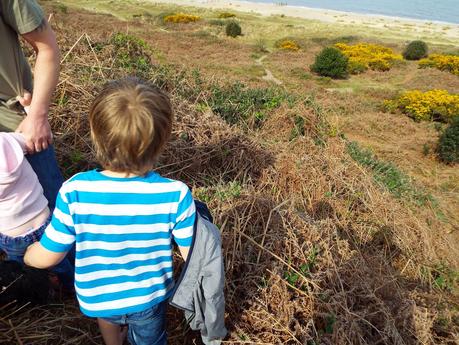 World War II Pillboxes and Rabbit Holes