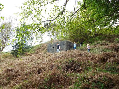 World War II Pillboxes and Rabbit Holes