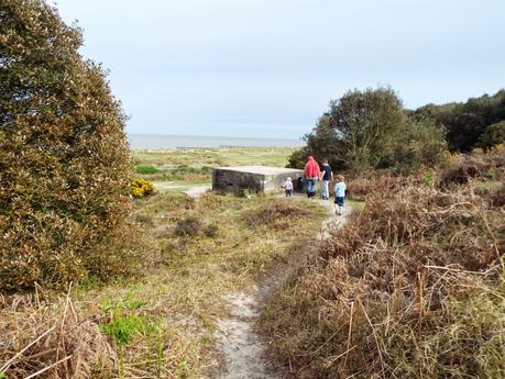 World War II Pillboxes and Rabbit Holes