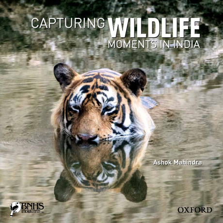 Book Review: Capturing Wildlife Moments in India